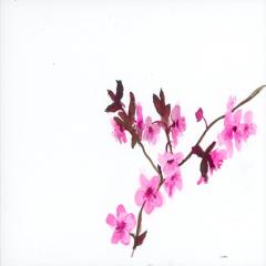 images/flowers/Razelou 2.jpg